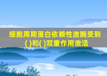 细胞周期蛋白依赖性激酶受到( )和( )双重作用激活